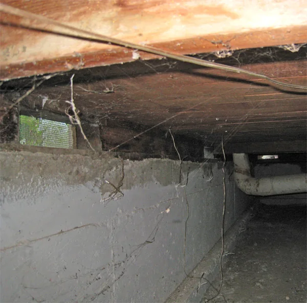 Crawlspace Water Removal in Pine Crest, Texas