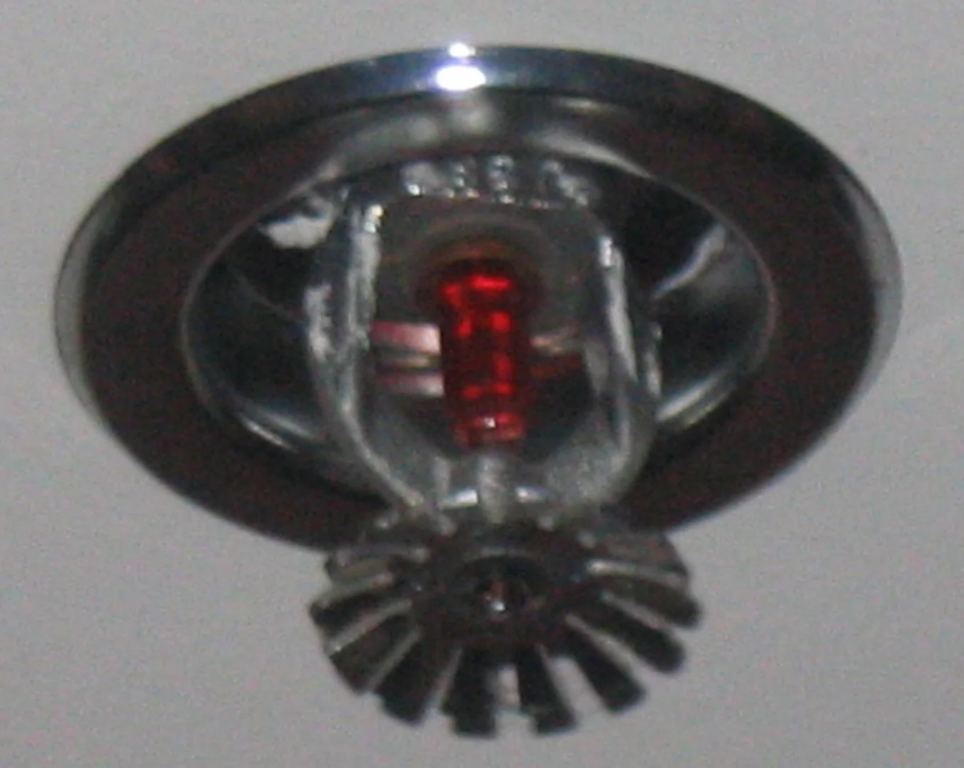 Fire Sprinkler Discharge in Pine Crest, Texas