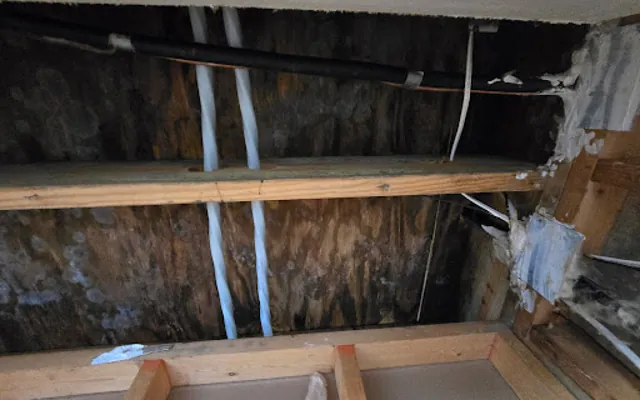 Attic Water Damage in Calder, Texas