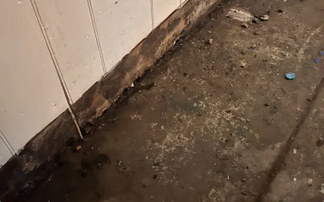 Drain Backup in Central Gardens, Texas