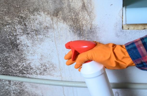 Mold Remediation Beaumont, Texas
